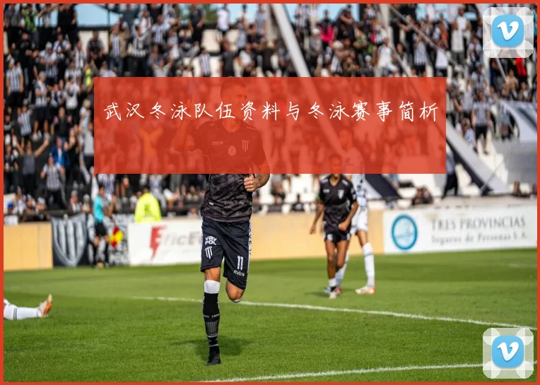 武汉冬泳队伍资料与冬泳赛事简析