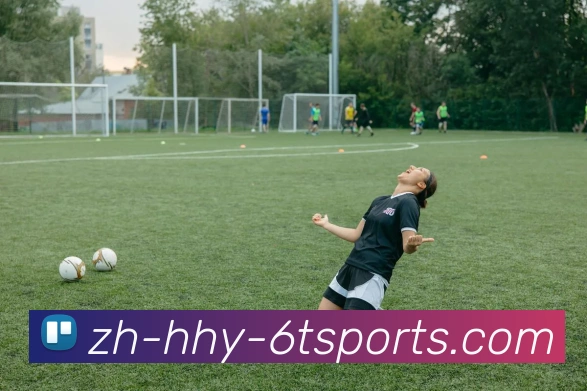 6T体育平台生态图