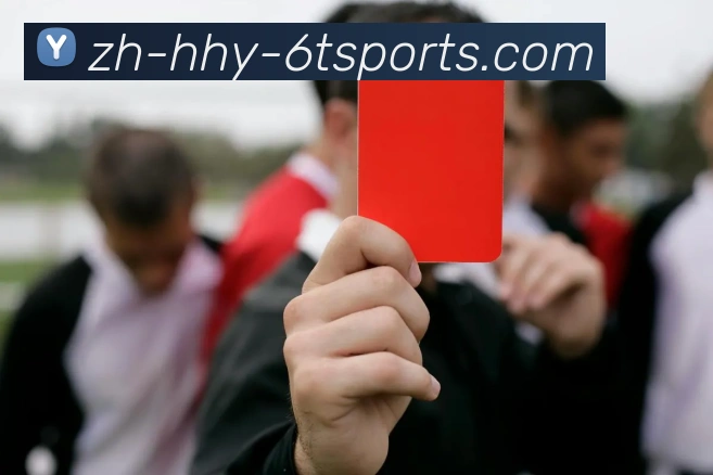 6T体育APP 封面图